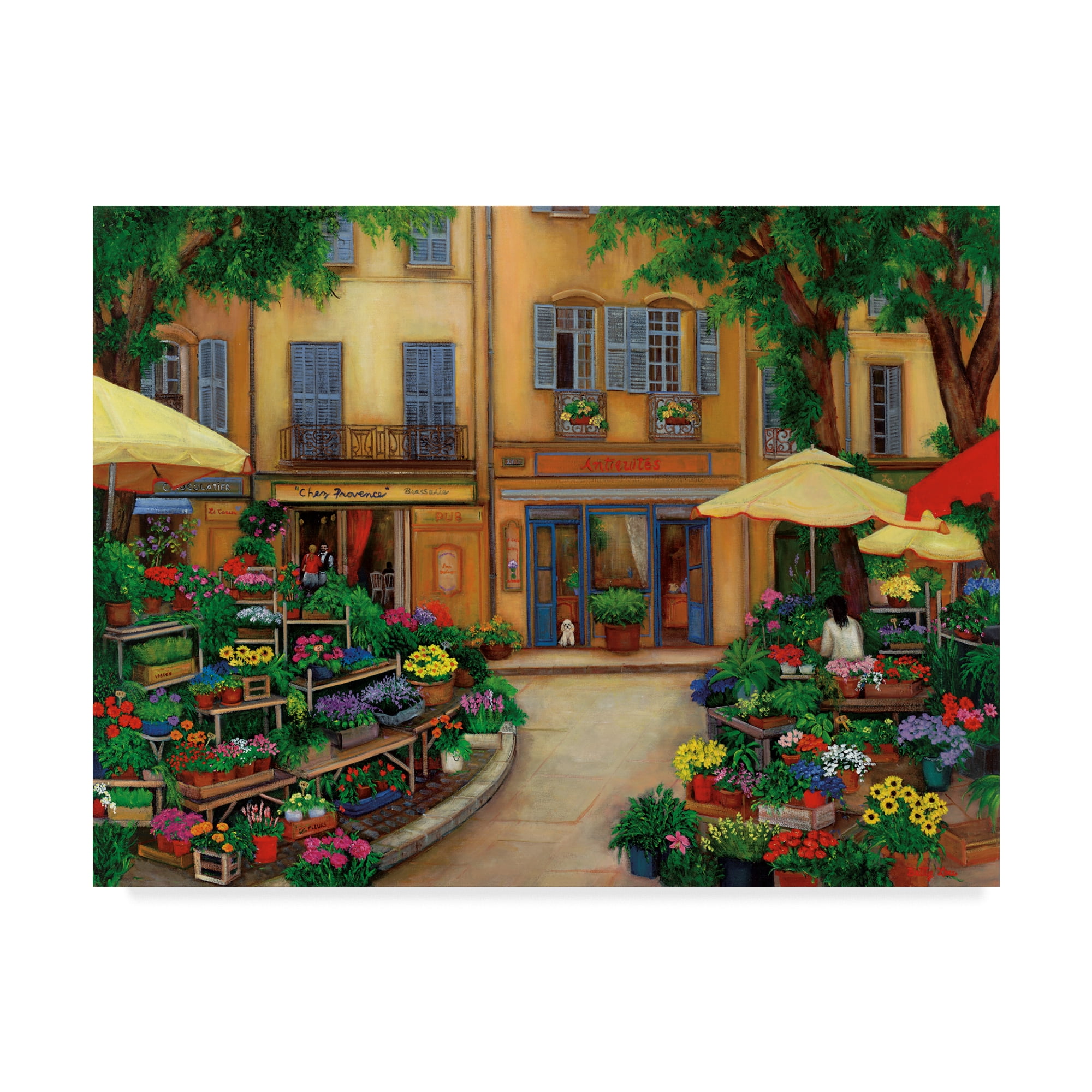 Trademark Fine Art 'Flowers In Aix' Canvas Art by Betty Lou
