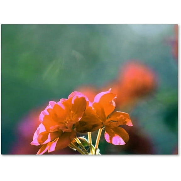Trademark Fine Art "Flowers & Sun" Canvas Wall Art by Patty Tuggle
