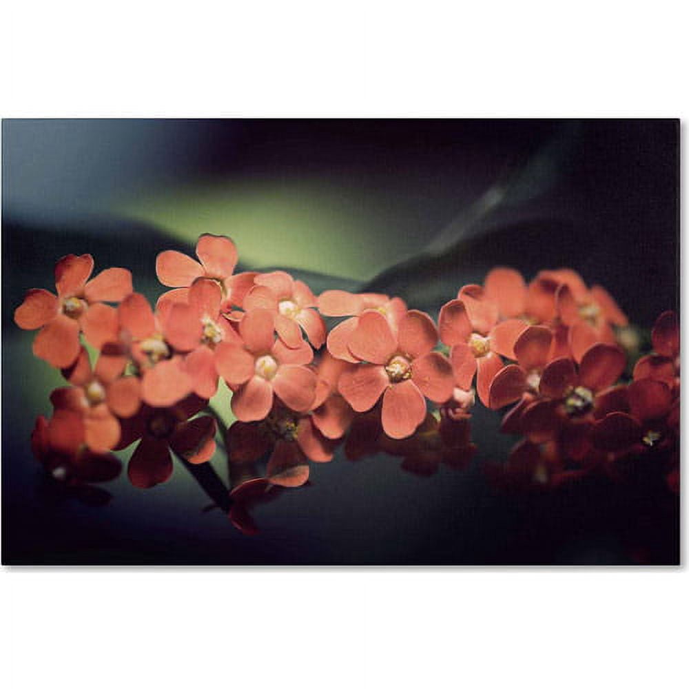 Trademark Fine Art "Flowers Waiting" Canvas Art by Philippe Sainte-Laudy