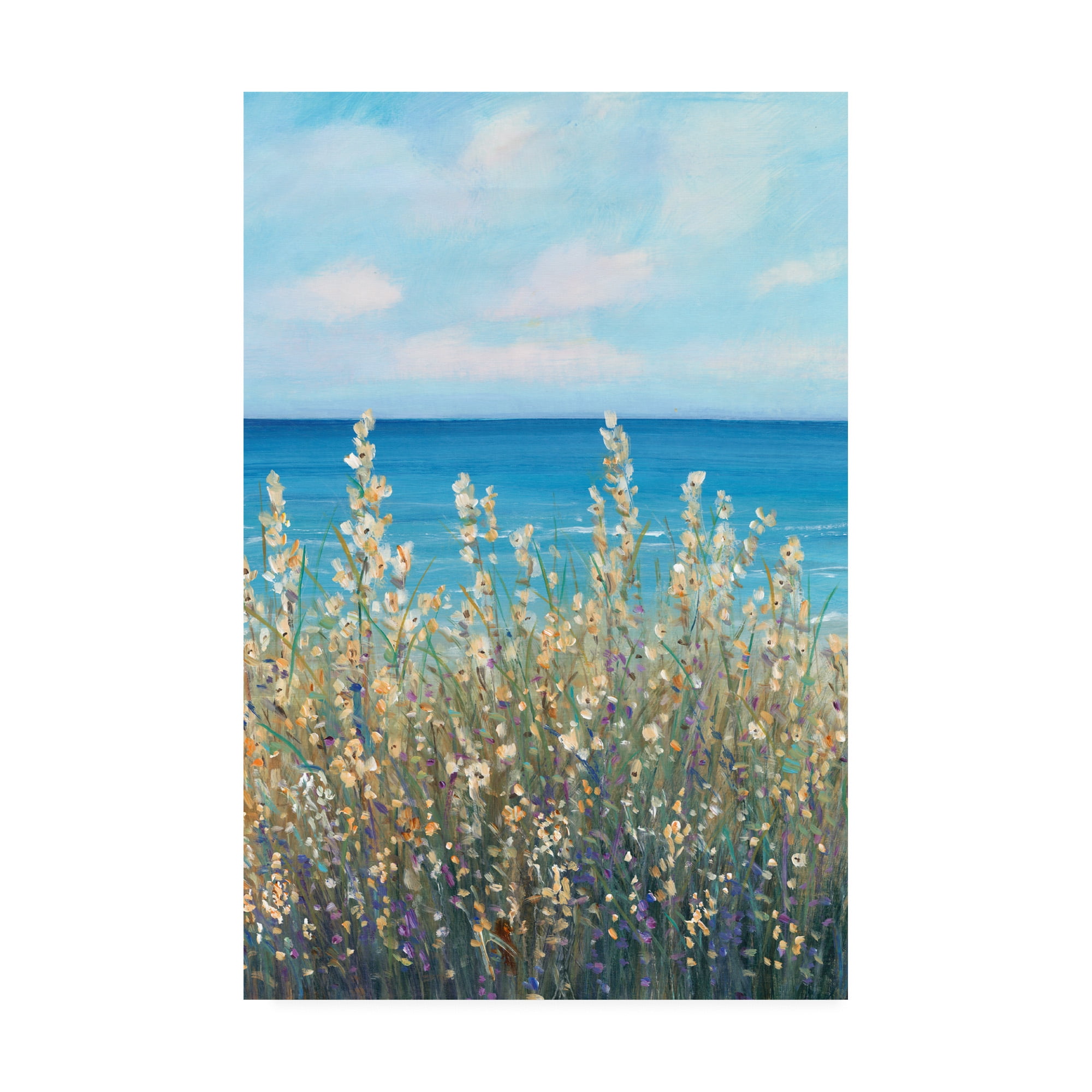 Trademark Fine Art 'Flowers at the Coast I' Canvas Art by Tim OToole