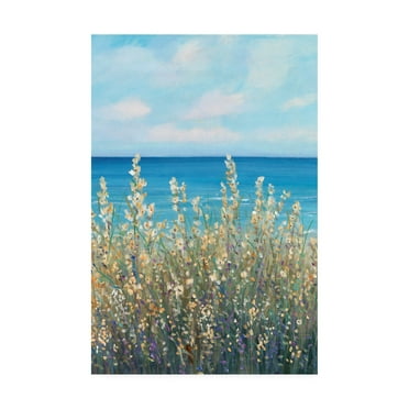 Trademark Fine Art 'Flowers at the Coast I' Canvas Art by Tim OToole