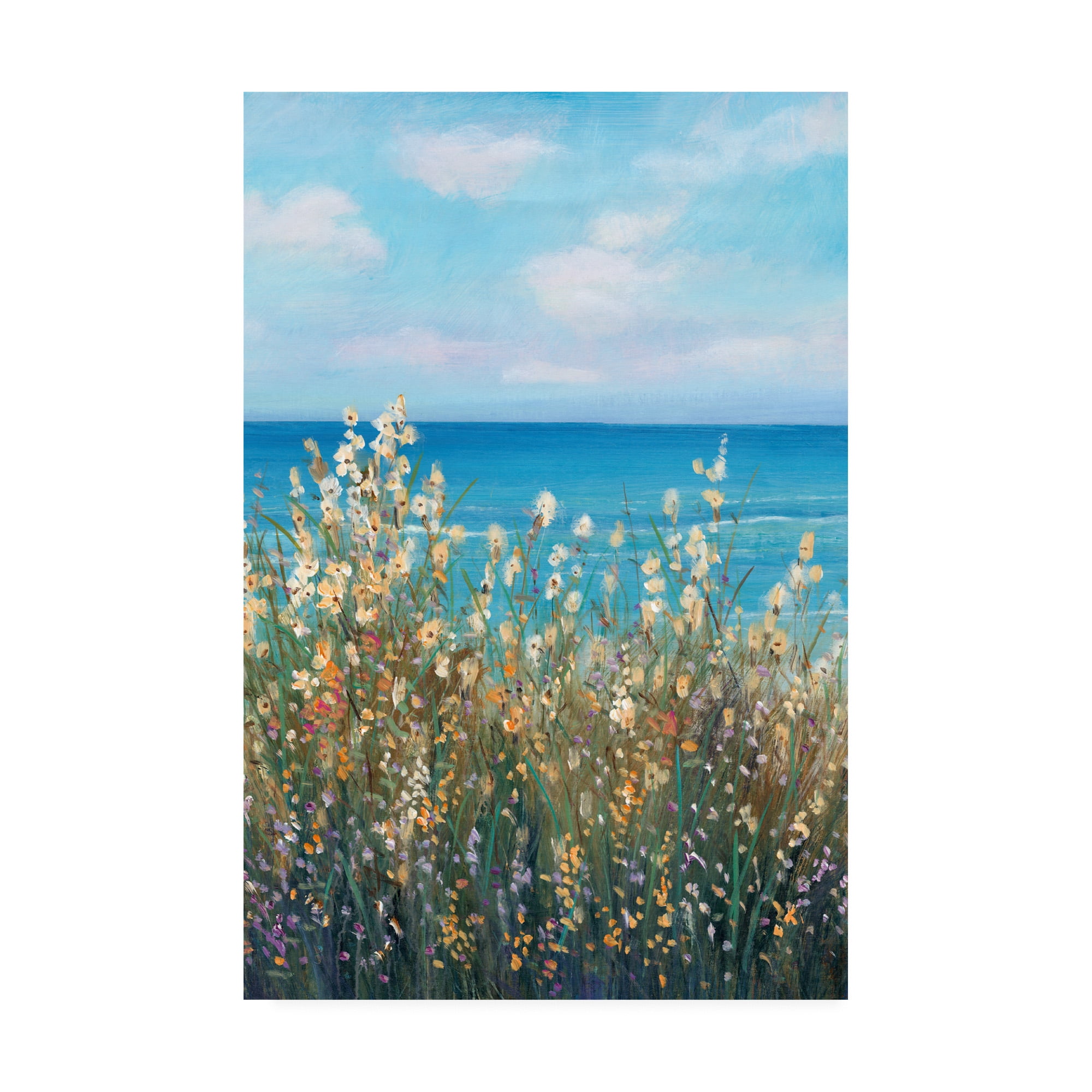 Trademark Fine Art 'Flowers at the Coast II' Canvas Art by Tim OToole