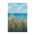 thumbnail image 1 of Trademark Fine Art 'Flowers at the Coast II' Canvas Art by Tim OToole, 1 of 3