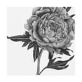 thumbnail image 1 of Trademark Fine Art 'Flowers in Grey II' Canvas Art by Melissa Wang, 1 of 4