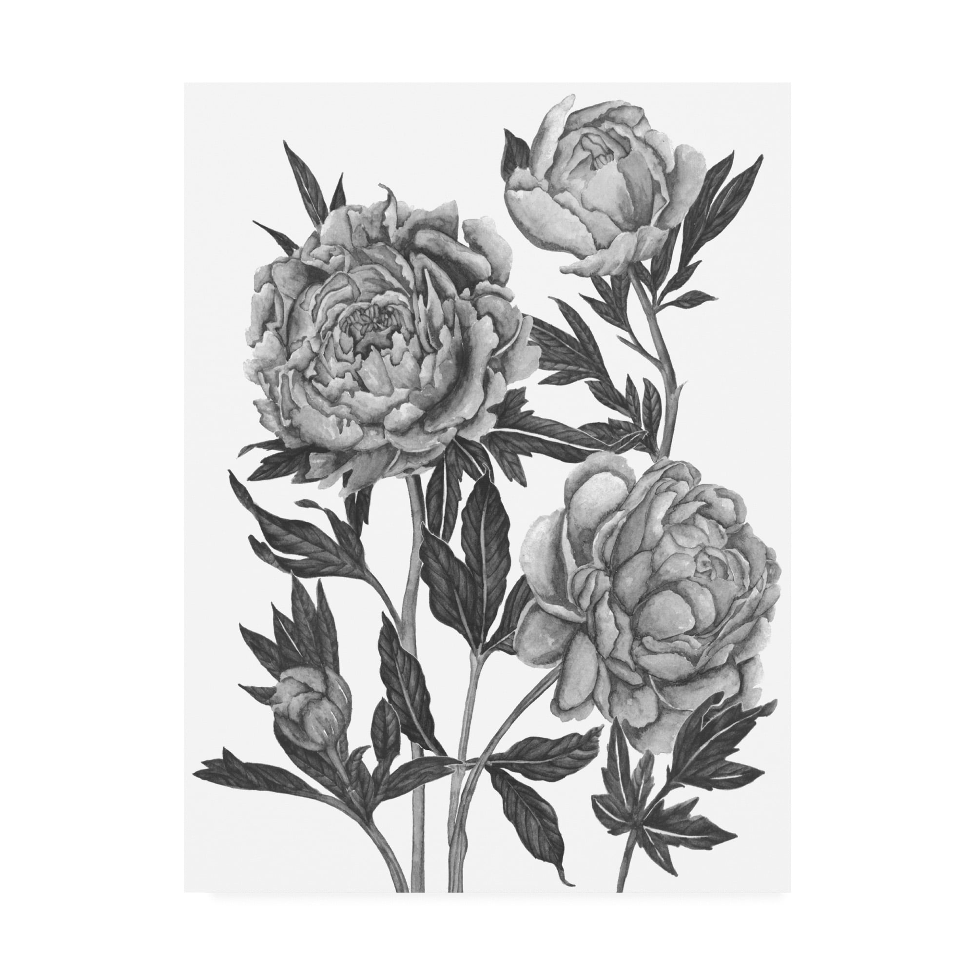 Trademark Fine Art 'Flowers in Grey V' Canvas Art by Melissa Wang