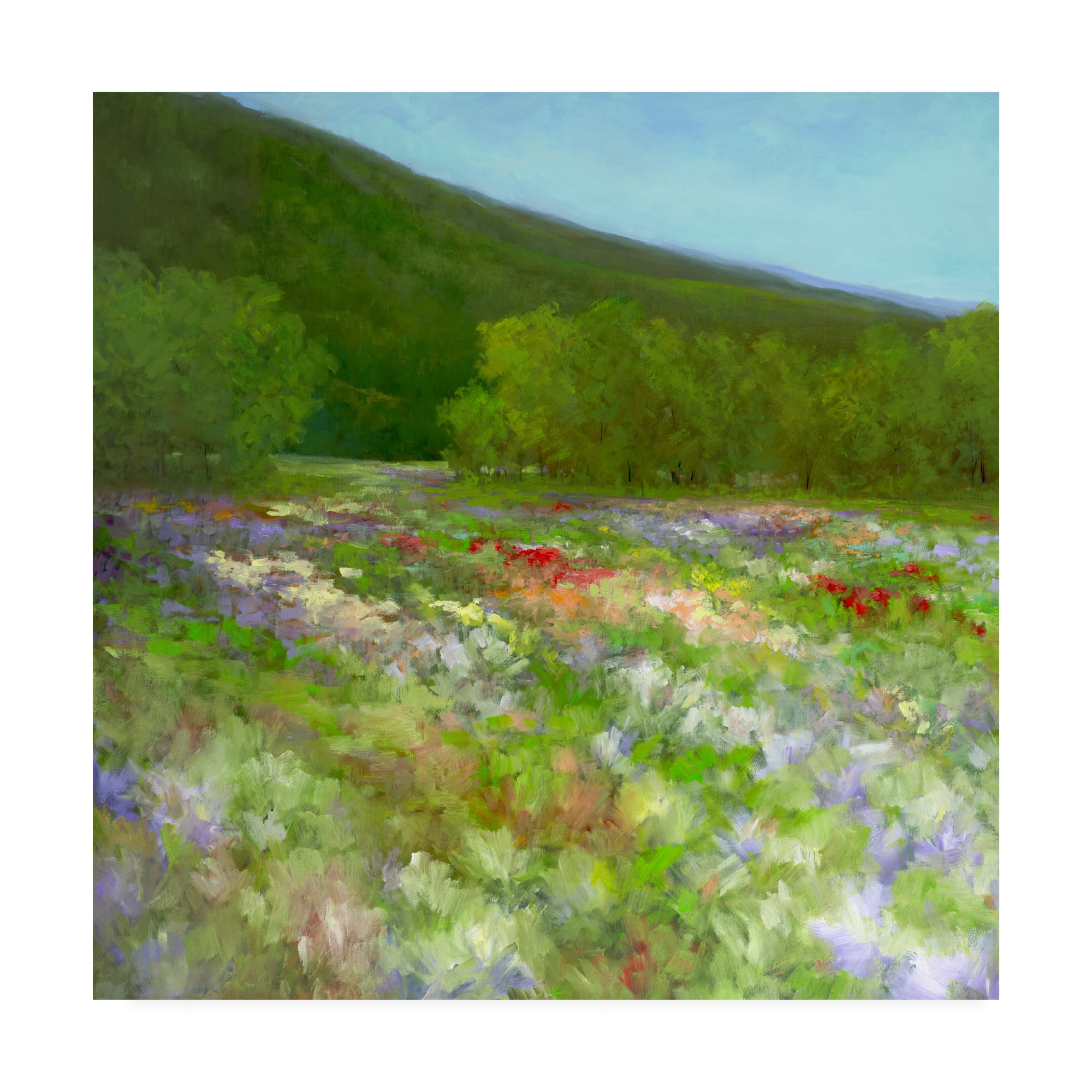Trademark Fine Art 'Flowers of Half Moon Bay II' Canvas Art by Sheila Finch