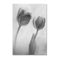 thumbnail image 1 of Trademark Fine Art "Flowers on Ice-1" Canvas Art by Moises Levy, 1 of 4