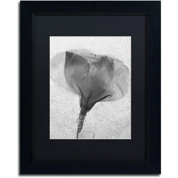 Trademark Fine Art "Flowers on Ice BW-2" Canvas Art by Moises Levy, Black Matte, Black Frame