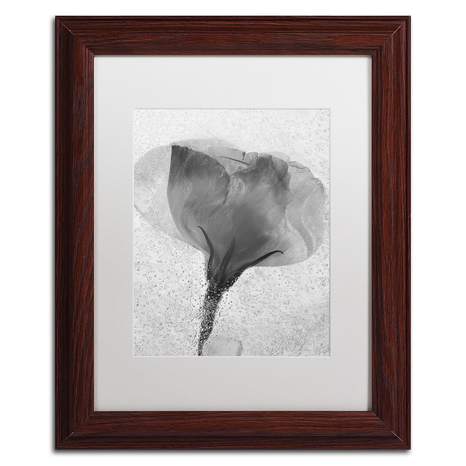 Trademark Fine Art "Flowers on Ice BW-2" Canvas Art by Moises Levy, White Matte, Wood Frame