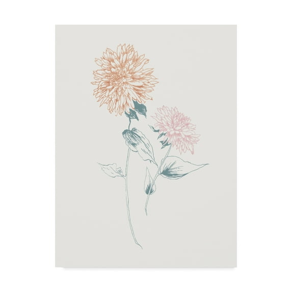 Trademark Fine Art 'Flowers on White IV Contemporary' Canvas Art by Wild Apple Portfolio