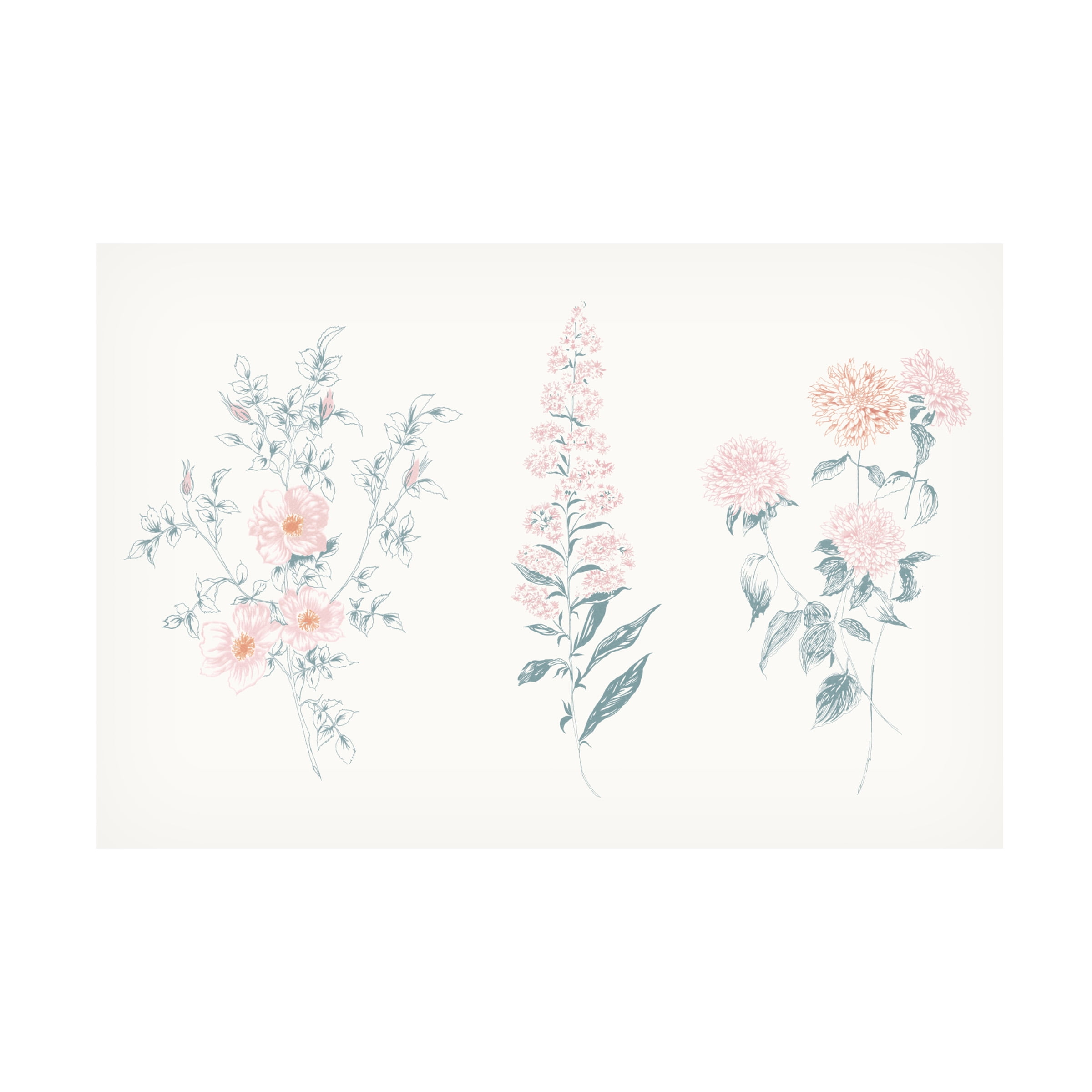 Trademark Fine Art 'Flowers on White IX Contemporary' Canvas Art by Wild Apple Portfolio