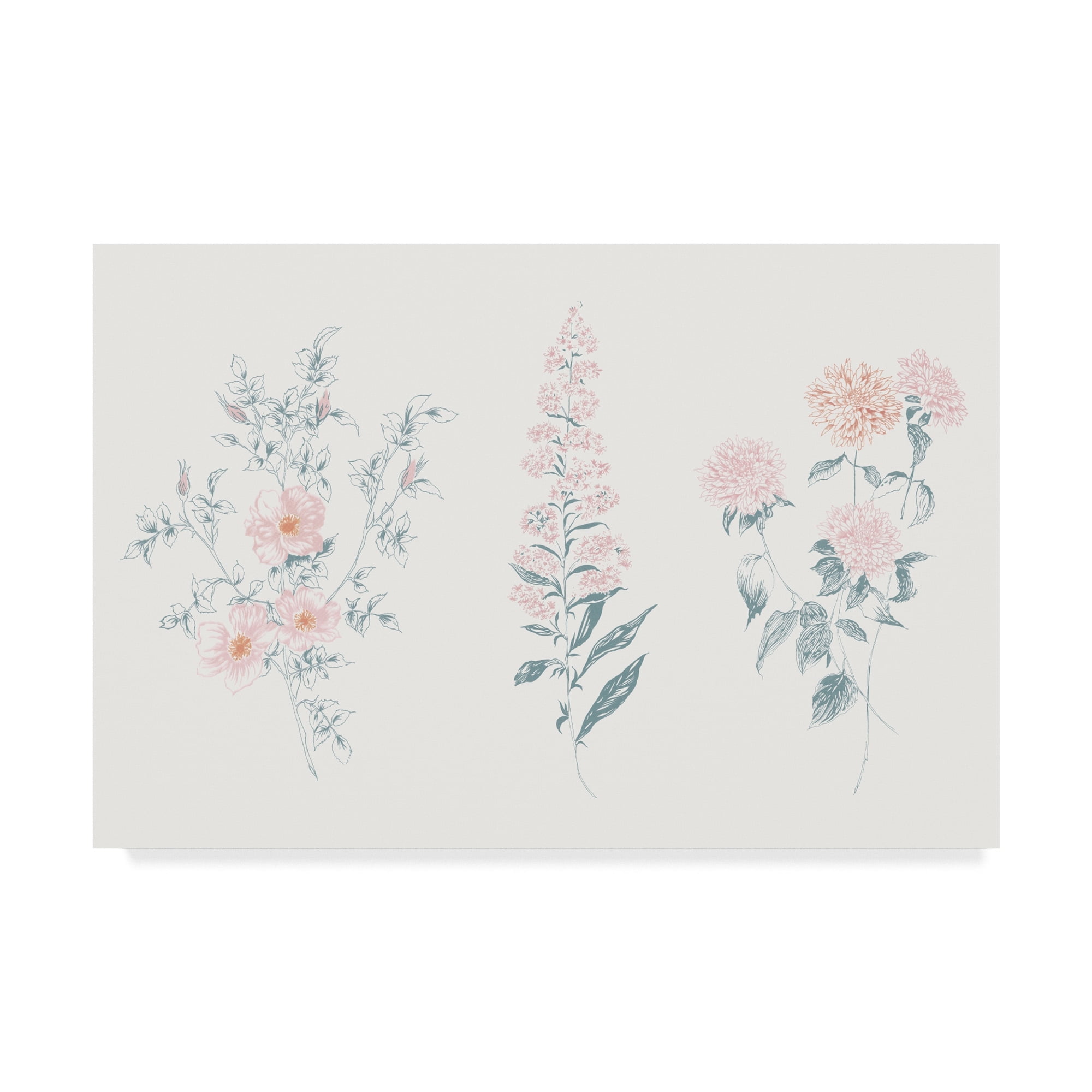 Trademark Fine Art 'Flowers on White IX Contemporary' Canvas Art by Wild Apple Portfolio