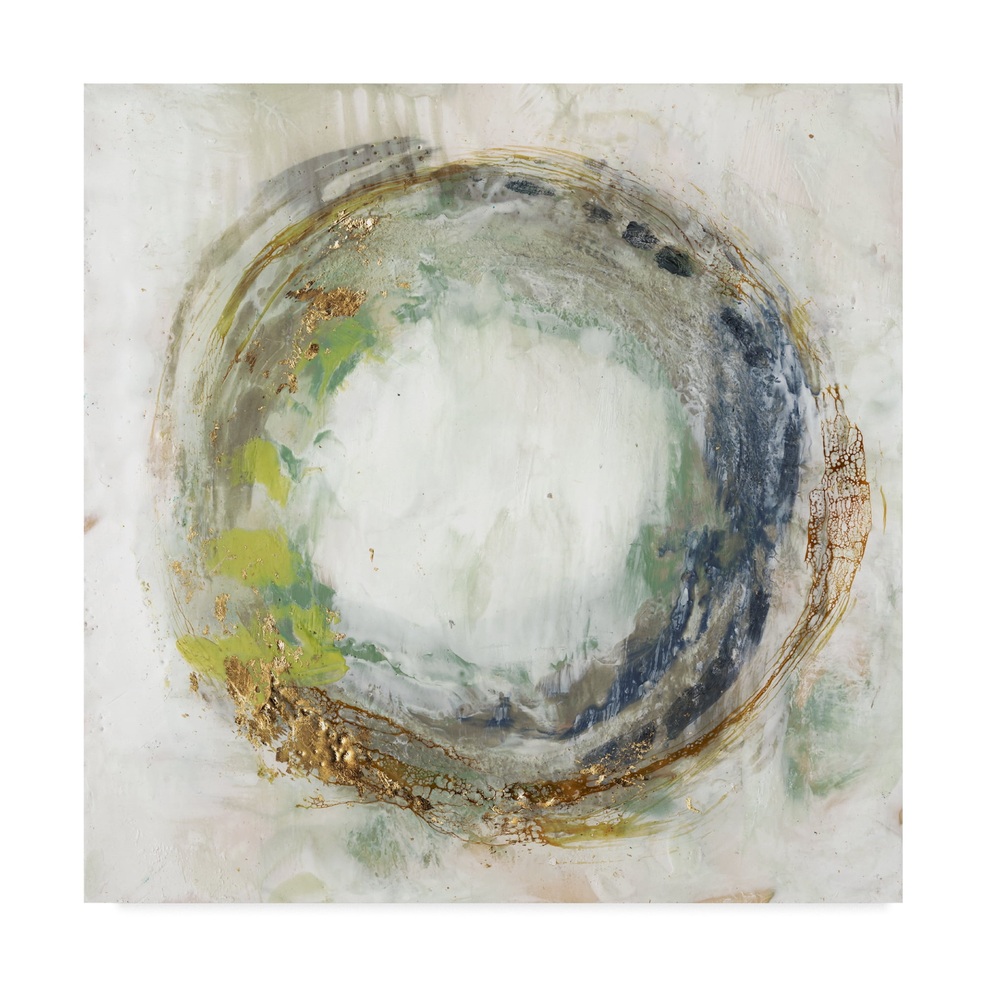 Trademark Fine Art 'Fluid Orbit I' Canvas Art by Jennifer Goldberger