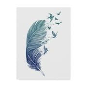 Trademark Fine Art 'Fly Away Feather' Canvas Art by Rachel Caldwell