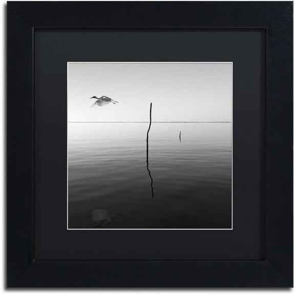 Trademark Fine Art "Fly" Canvas Art by Moises Levy Black Matte, Black Frame