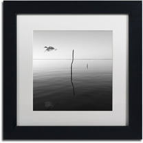 Trademark Fine Art "Fly" Canvas Art by Moises Levy White Matte, Black Frame