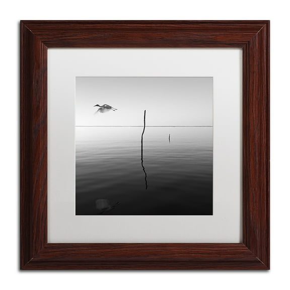 Trademark Fine Art "Fly" Canvas Art by Moises Levy White Matte, Wood Frame