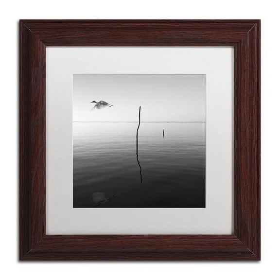 Trademark Fine Art "Fly" Canvas Art by Moises Levy White Matte, Wood Frame