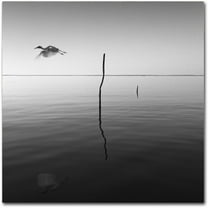 Trademark Fine Art Michelle Campbell Little Angels Canvas Wall Art - 14x14