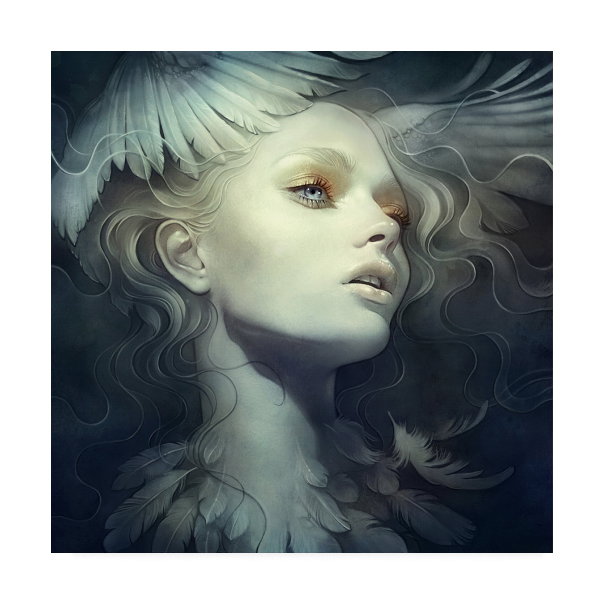 Trademark Fine Art 'Fly Wings' Canvas Art by Anna Dittma