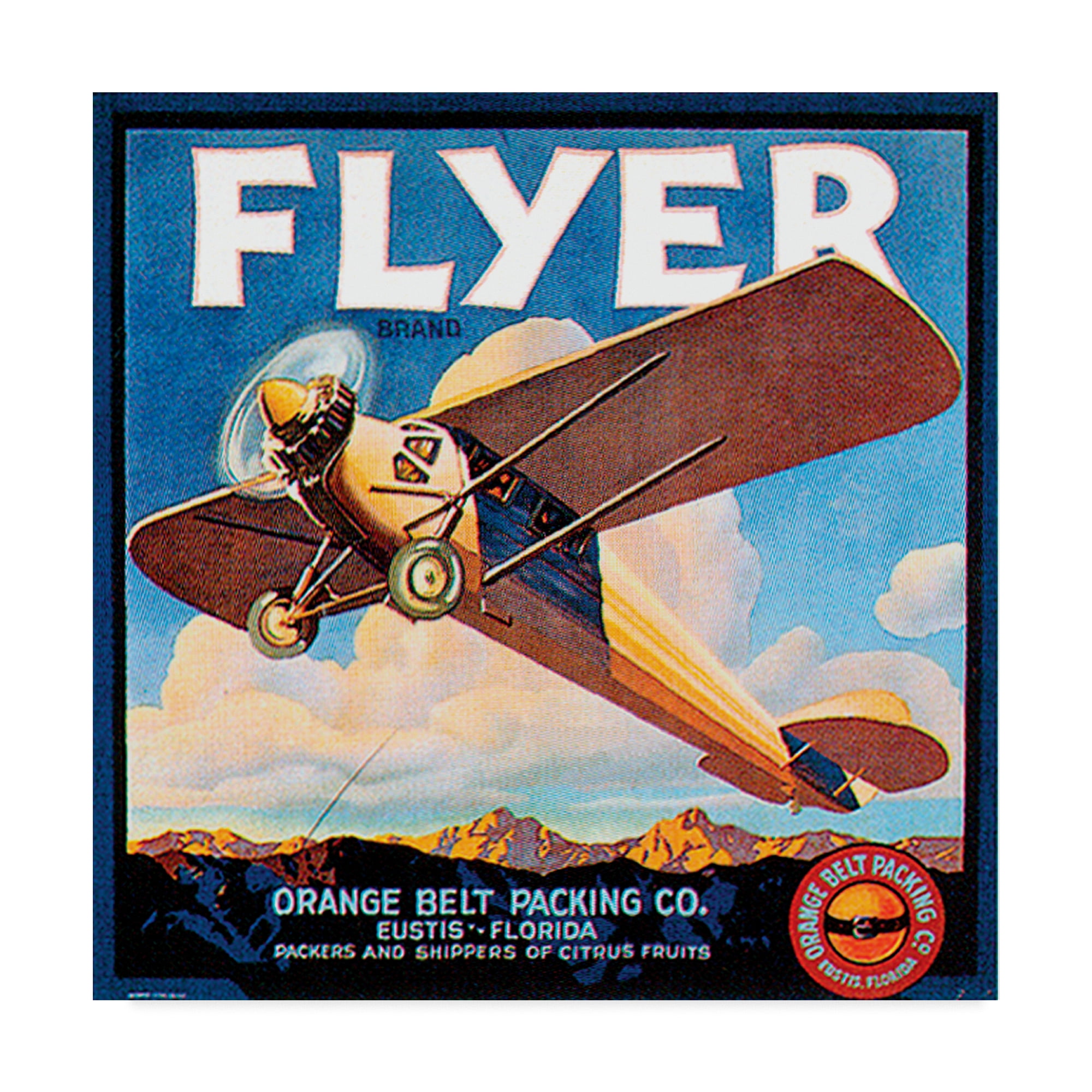 Trademark Fine Art 'Flyer' Canvas Art by Vision Studio
