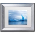 thumbnail image 1 of Trademark Fine Art 'Flying Blue' Canvas Art by Philippe Sainte-Laudy, White Matte, Silver Frame, 1 of 1