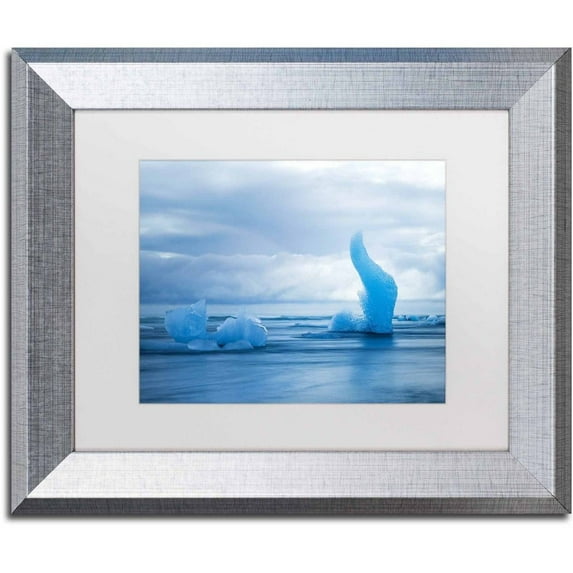 Trademark Fine Art 'Flying Blue' Canvas Art by Philippe Sainte-Laudy, White Matte, Silver Frame