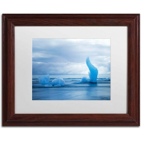 Trademark Fine Art 'Flying Blue' Canvas Art by Philippe Sainte-Laudy, White Matte, Wood Frame
