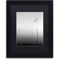 thumbnail image 1 of Trademark Fine Art "Flying" Canvas Art by Moises Levy Black Matte, Black Frame, 1 of 2