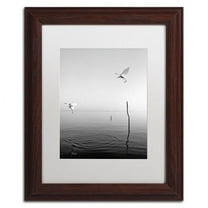 Trademark Fine Art "Flying" Canvas Art by Moises Levy White Matte, Wood Frame
