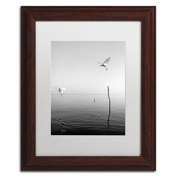 Trademark Fine Art "Flying" Canvas Art by Moises Levy White Matte, Wood Frame