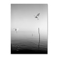 thumbnail image 1 of Trademark Fine Art "Flying" Canvas Art by Moises Levy, 1 of 4