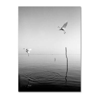Trademark Fine Art "Flying" Canvas Art by Moises Levy