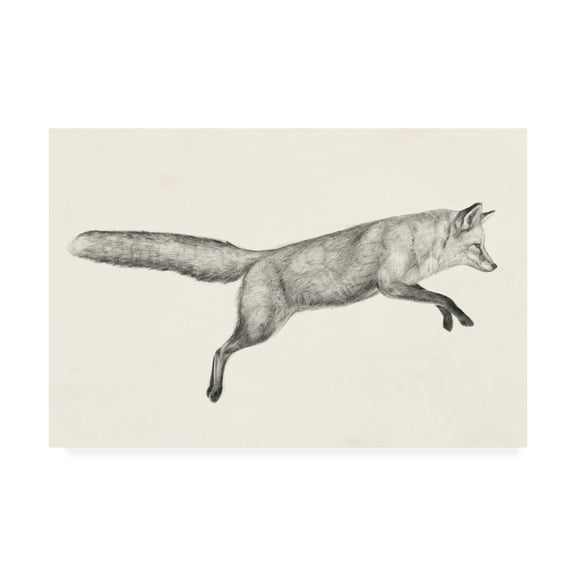 Trademark Fine Art 'Flying Fox I' Canvas Art by Victoria Borges