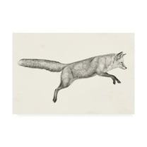 Trademark Fine Art 'Flying Fox I' Canvas Art by Victoria Borges