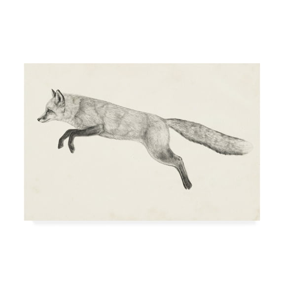 Trademark Fine Art 'Flying Fox II' Canvas Art by Victoria Borges