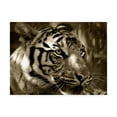 thumbnail image 1 of Trademark Fine Art 'Focus Photography' Canvas Art by Dana Brett Munich, 1 of 3