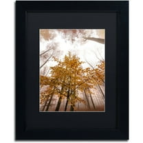 Trademark Fine Art "Foggy Days" Canvas Art by Philippe Sainte-Laudy Black Matte, Black Frame