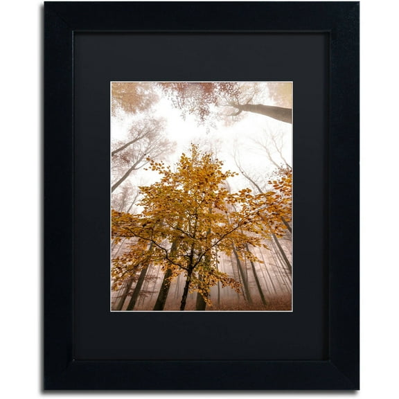 Trademark Fine Art "Foggy Days" Canvas Art by Philippe Sainte-Laudy Black Matte, Black Frame