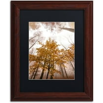 Trademark Fine Art "Foggy Days" Canvas Art by Philippe Sainte-Laudy Black Matte, Wood Frame