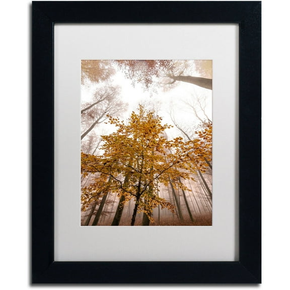 Trademark Fine Art "Foggy Days" Canvas Art by Philippe Sainte-Laudy White Matte, Black Frame