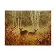 thumbnail image 1 of Trademark Fine Art 'Foggy Deer' Canvas Art by Chris Vest, 1 of 4
