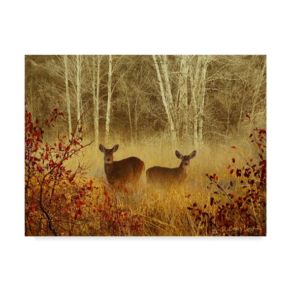Trademark Fine Art 'Foggy Deer' Canvas Art by Chris Vest