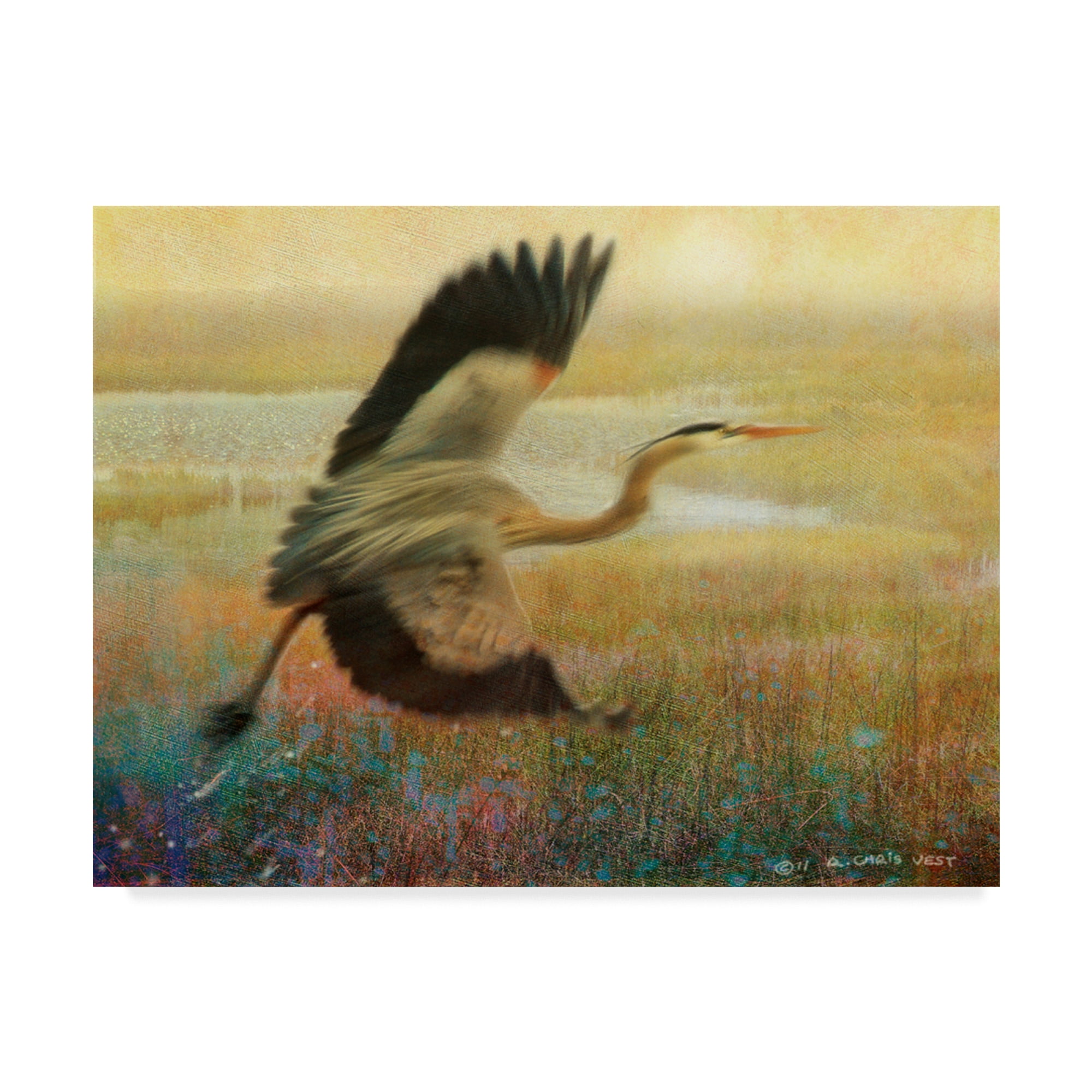Trademark Fine Art 'Foggy Heron I' Canvas Art by Chris Vest