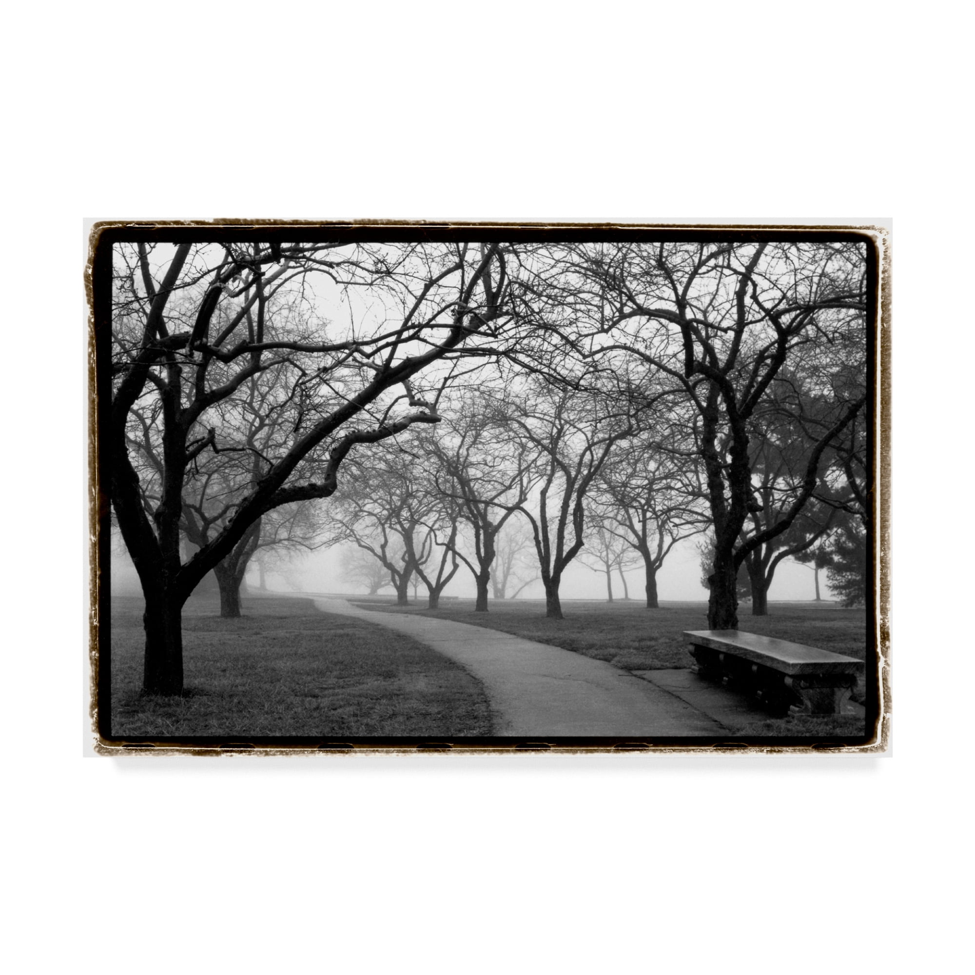 Trademark Fine Art 'Foggy Morning Walk on FAP' Canvas Art by Laura DeNardo