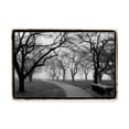 thumbnail image 1 of Trademark Fine Art 'Foggy Morning Walk on FAP' Canvas Art by Laura DeNardo, 1 of 4