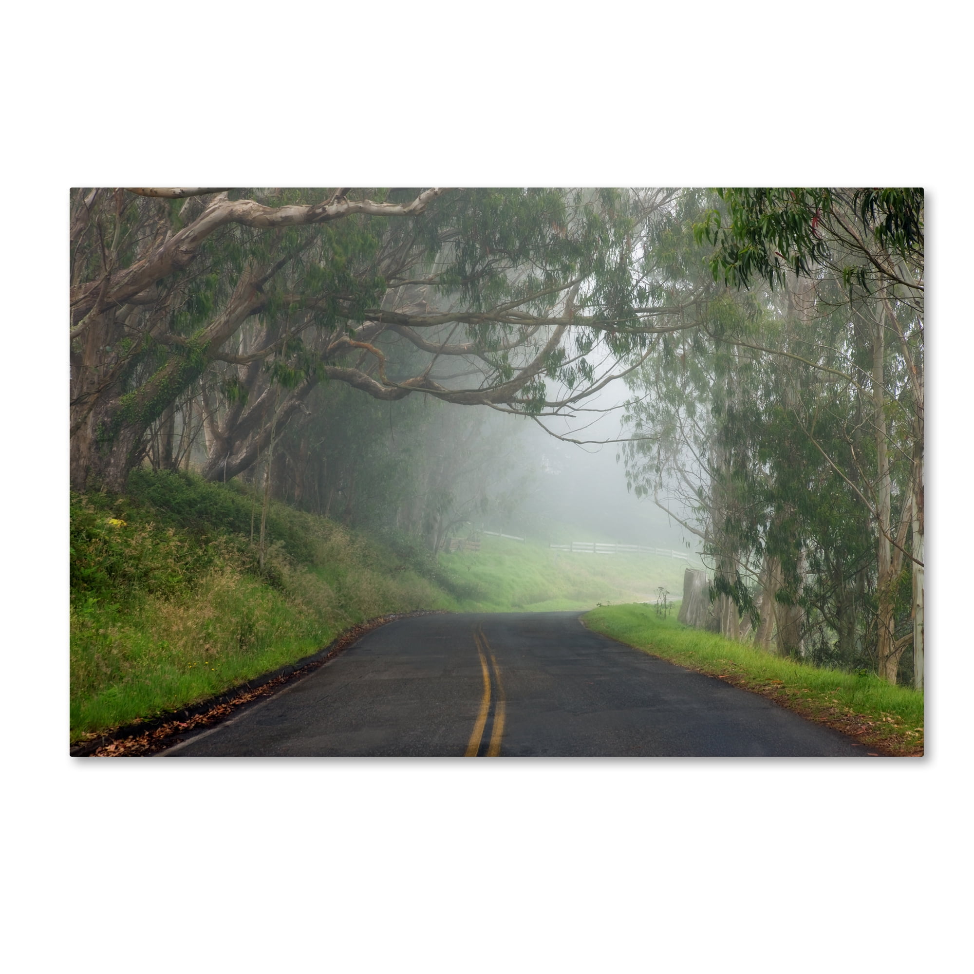 Foggy Road Landscape Canvas Print with Wooden Frame