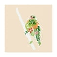 thumbnail image 1 of Trademark Fine Art 'Foliage & Feathers III' Canvas Art by June Erica Vess, 1 of 3