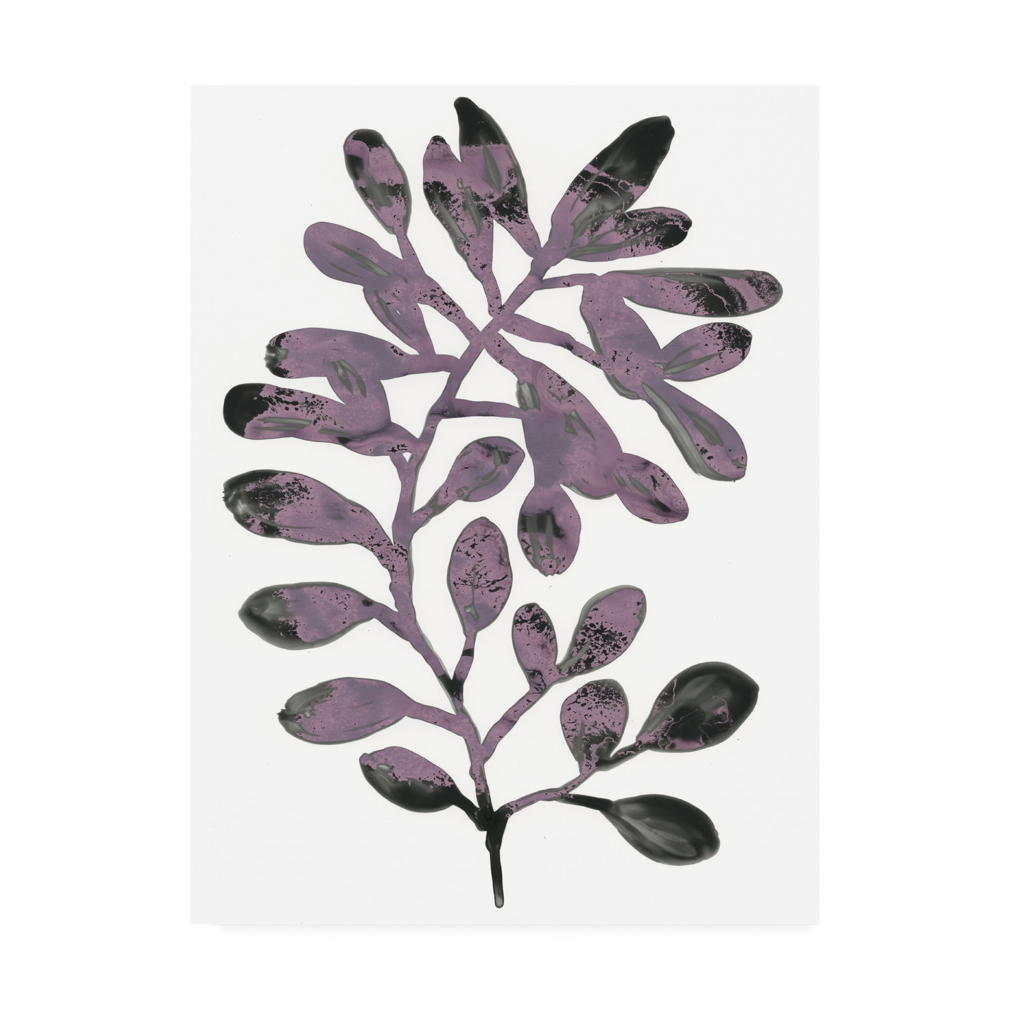 Trademark Fine Art 'Foliage Fossil VIII' Canvas Art by June Erica Vess