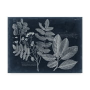Trademark Fine Art 'Foliage on Navy V' Canvas Art by Vision Studio